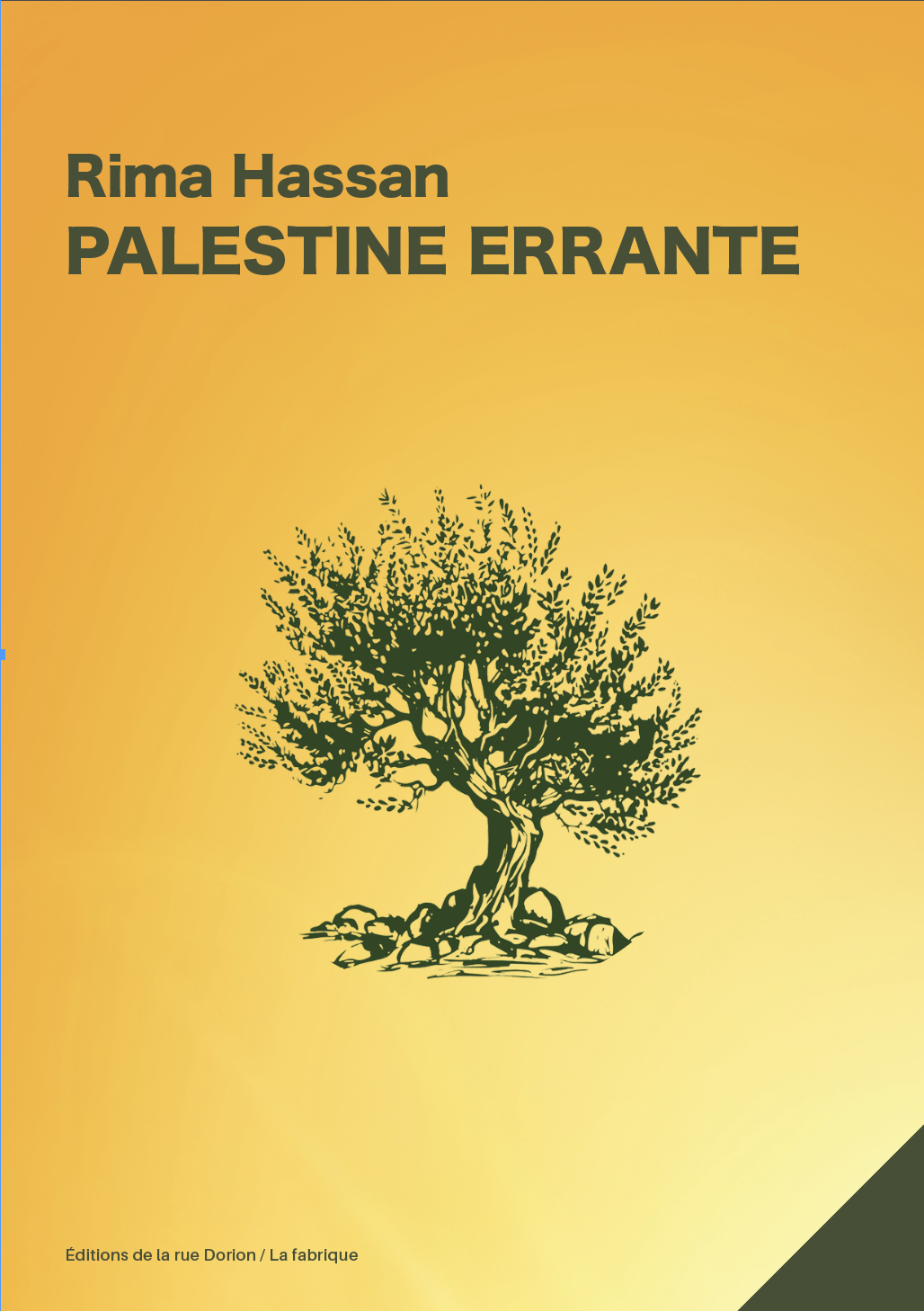 Palestine errante, couverture, Rima Hassan, 2026